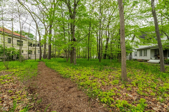 4130 N Meridian St, Indianapolis, IN 46208 - view of yard
