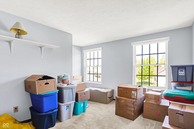 view of storage area