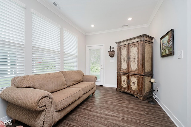 5020 Eldon Dr, Noblesville, IN 46062 - living area featuring dark wood-style floors, ornamental molding, baseboards, and recessed lighting