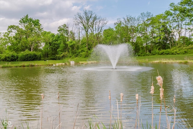 5020 Eldon Dr, Noblesville, IN 46062 - water view