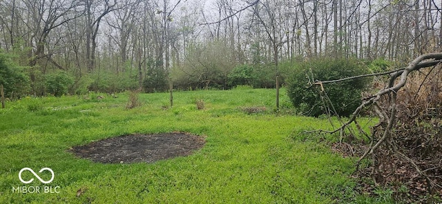 3854 Three Mile Rd, Centerville, IN 47330 - view of yard