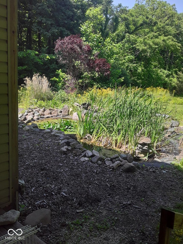 3854 Three Mile Rd, Centerville, IN 47330 - view of yard