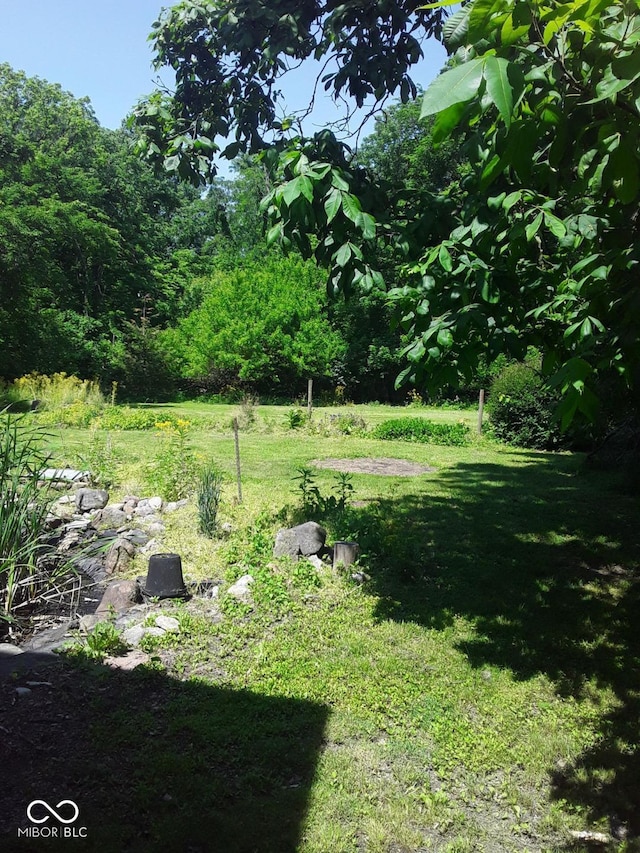 3854 Three Mile Rd, Centerville, IN 47330 - view of grassy yard