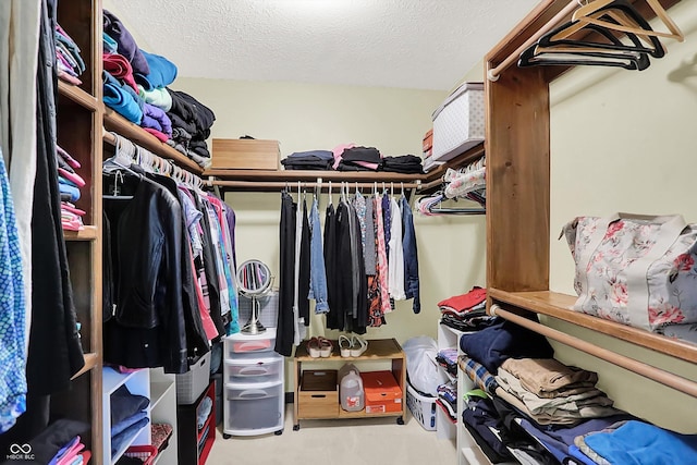 781 Dayton Dr, Carmel, IN 46033 - view of walk in closet