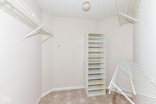 7645 Briarstone Ln, Indianapolis, IN 46227 - spacious closet featuring carpet flooring