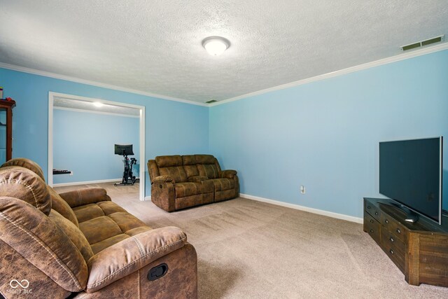 6462 Wings Ct, Brownsburg, IN 46112 - carpeted living area featuring crown molding, a textured ceiling, and baseboards