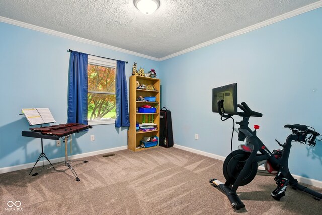 6462 Wings Ct, Brownsburg, IN 46112 - exercise area with a textured ceiling, crown molding, carpet, and baseboards