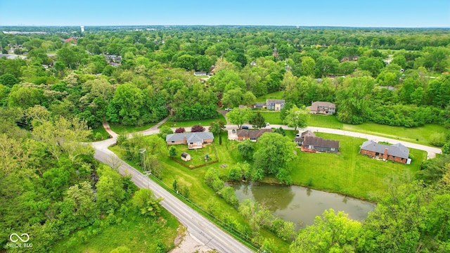 6462 Wings Ct, Brownsburg, IN 46112 - view of property location featuring a heavily wooded area and a large body of water