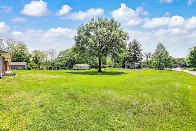 view of green lawn