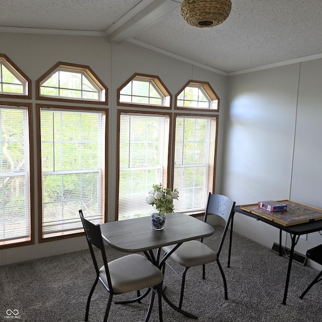 5269 W State Road 42, Brazil, IN 47834 - carpeted dining space with a textured ceiling, lofted ceiling, and crown molding