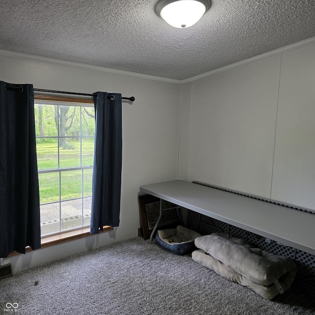 5269 W State Road 42, Brazil, IN 47834 - carpeted office space featuring crown molding and a textured ceiling