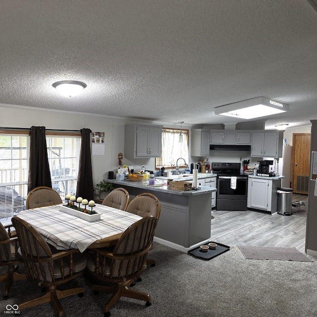 5269 W State Road 42, Brazil, IN 47834 - dining room featuring a textured ceiling and light carpet
