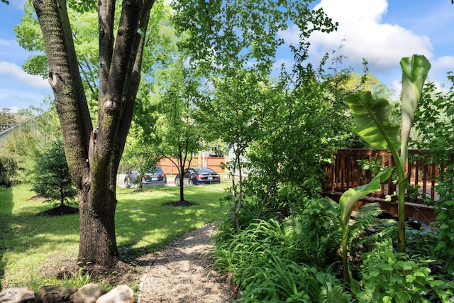 2134 N Alabama St, Indianapolis, IN 46202 - view of grassy yard
