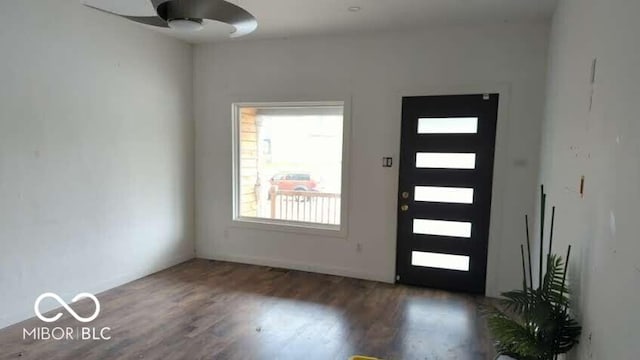 foyer entrance featuring wood finished floors