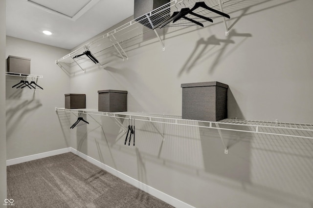 walk in closet with carpet and attic access