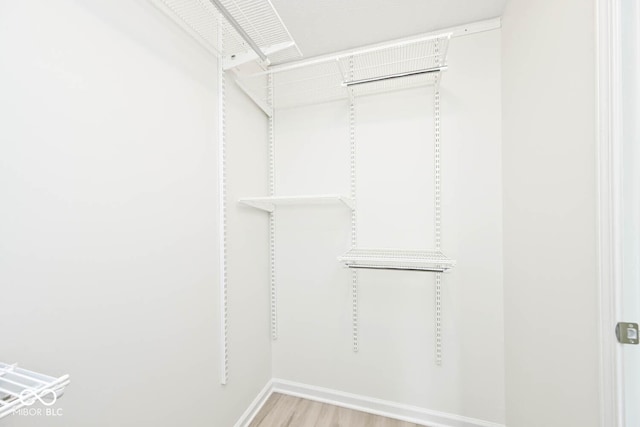 19446 Ethan Allen Ln, Westfield, IN 46074 - walk in closet with light wood-style flooring