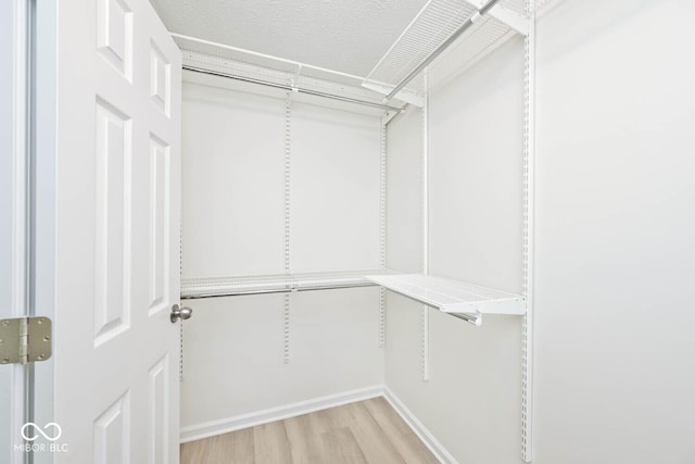 19446 Ethan Allen Ln, Westfield, IN 46074 - walk in closet featuring light wood-type flooring