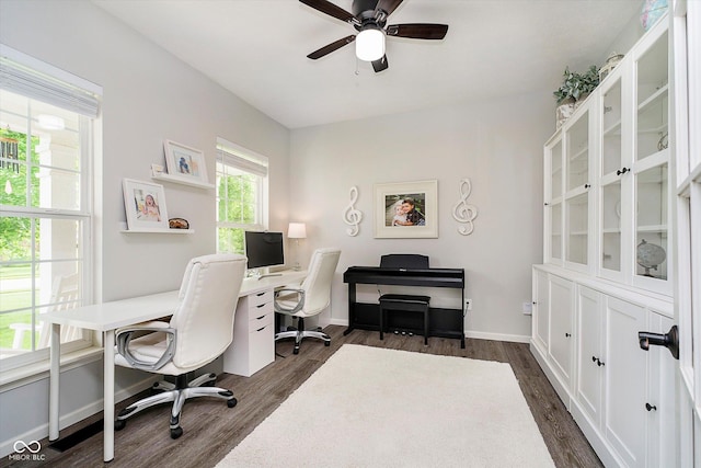 14130 Autumn Woods Dr, Carmel, IN 46074 - office space featuring dark wood-style floors, ceiling fan, and baseboards