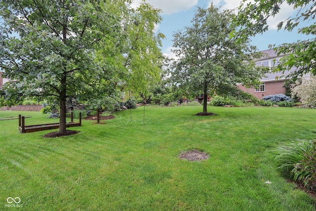 9311 Windrift Way, Zionsville, IN 46077 - view of grassy yard