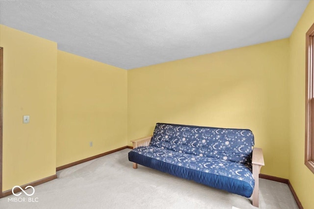 14814 Beacon Blvd, Carmel, IN 46032 - sitting room with carpet, baseboards, and a textured ceiling