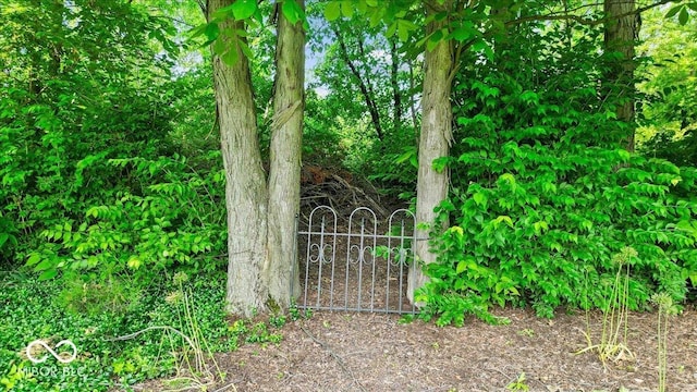 14814 Beacon Blvd, Carmel, IN 46032 - view of gate
