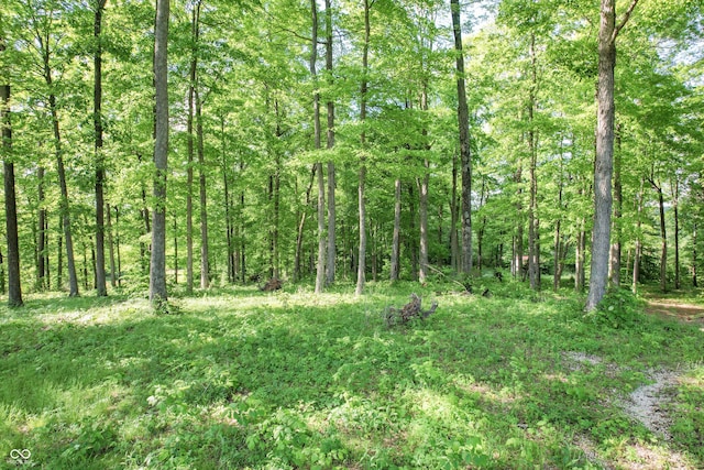 4254 N 1500 W, Deputy, IN 47230 - photo 11