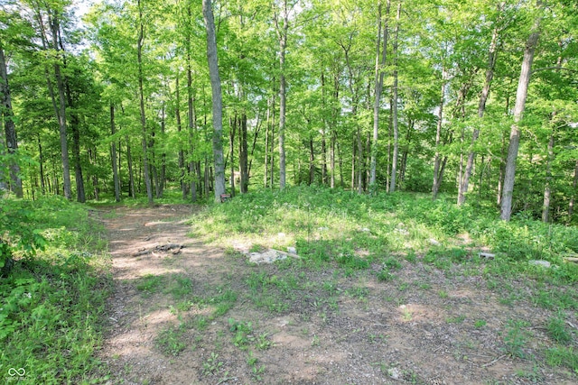 4254 N 1500 W, Deputy, IN 47230 - photo 9