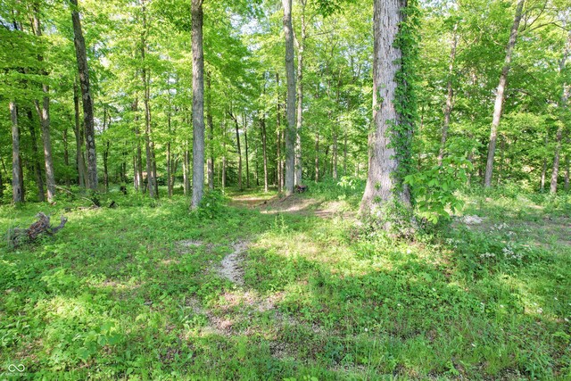 4254 N 1500 W, Deputy, IN 47230 - photo 10