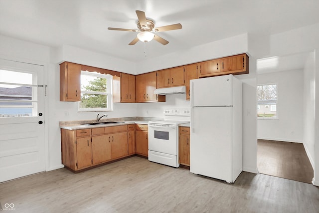 kitchen with white appliances, under cabinet range hood, a sink, light countertops, and ceiling fan