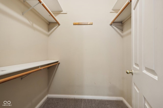 455 S Pine St Unit 4, Indianapolis, IN 46203 - spacious closet with carpet floors
