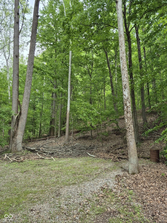 8514 Alma St, Nashville, IN 47448 - photo 6