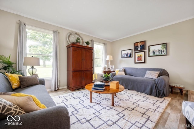 3000 E County Road 400 N, Muncie, IN 47303 - living area with crown molding, light wood-style floors, and baseboards