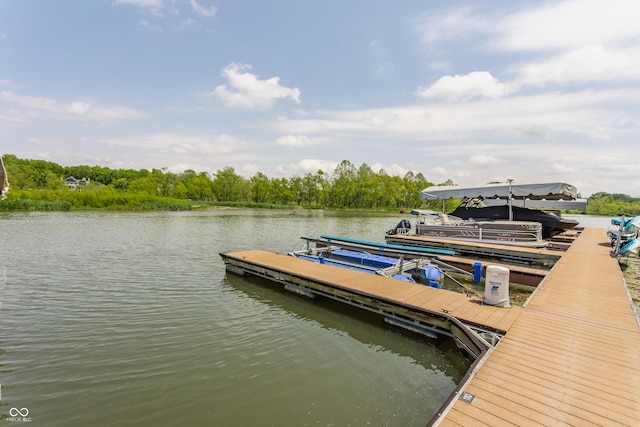 10784 Giselle Way, Fishers, IN 46040 - dock with a water view