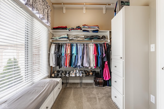 10784 Giselle Way, Fishers, IN 46040 - spacious closet featuring carpet floors