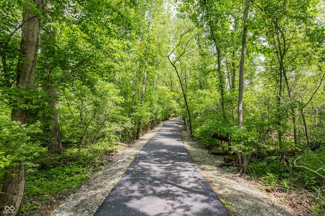 10784 Giselle Way, Fishers, IN 46040 - view of street featuring a forest view