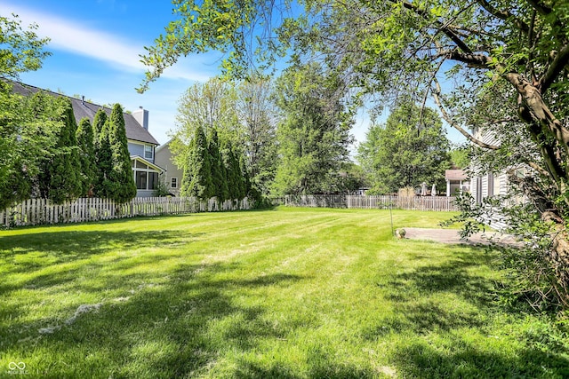 view of yard