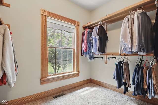 1478 W 500 S, Peru, IN 46970 - spacious closet featuring carpet