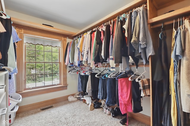 1478 W 500 S, Peru, IN 46970 - spacious closet with carpet flooring