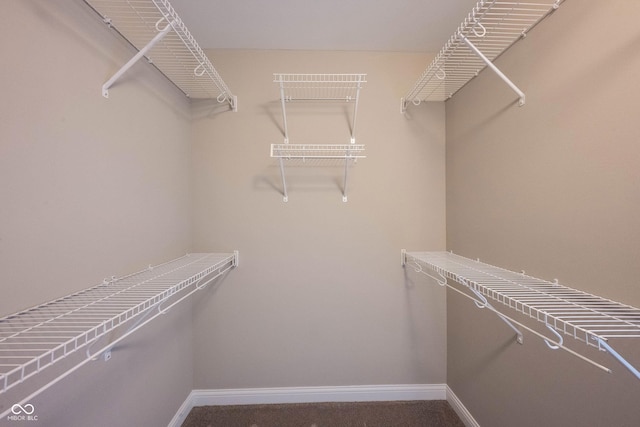 view of walk in closet