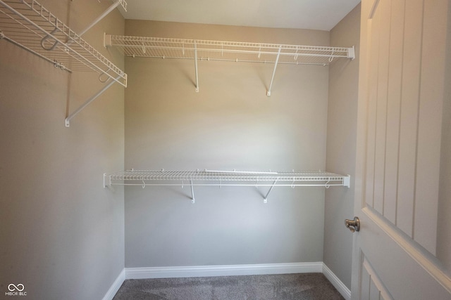 spacious closet with carpet