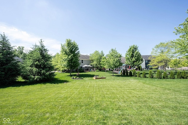 view of green lawn with a playground