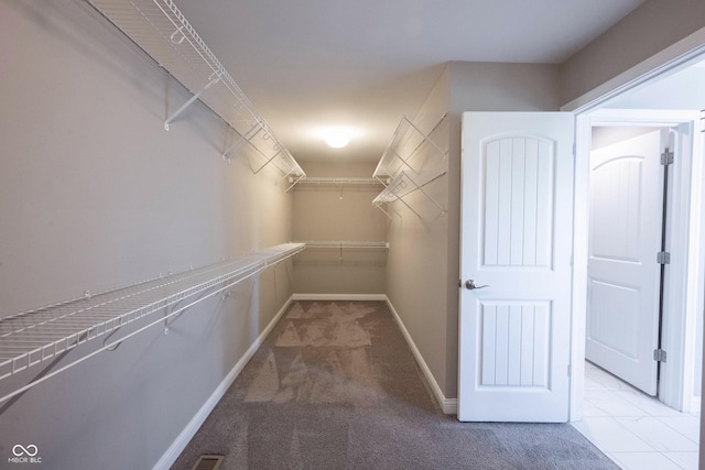 spacious closet with carpet