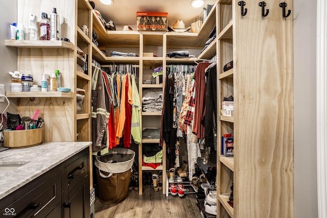 2965 E 1100 N, Pendleton, IN 46064 - spacious closet featuring wood finished floors