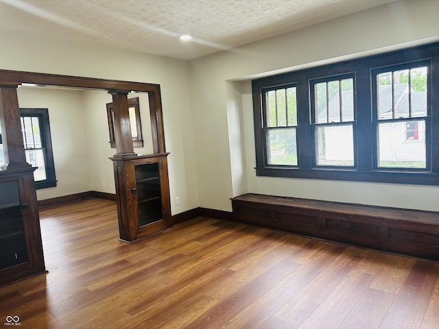 1718 Thaddeus St, Indianapolis, IN 46203 - spare room featuring dark wood-style floors, plenty of natural light, a textured ceiling, and baseboards