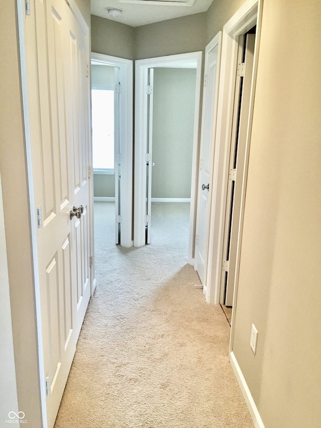 6304 El Paso St, Whitestown, IN 46075 - hallway featuring carpet and baseboards