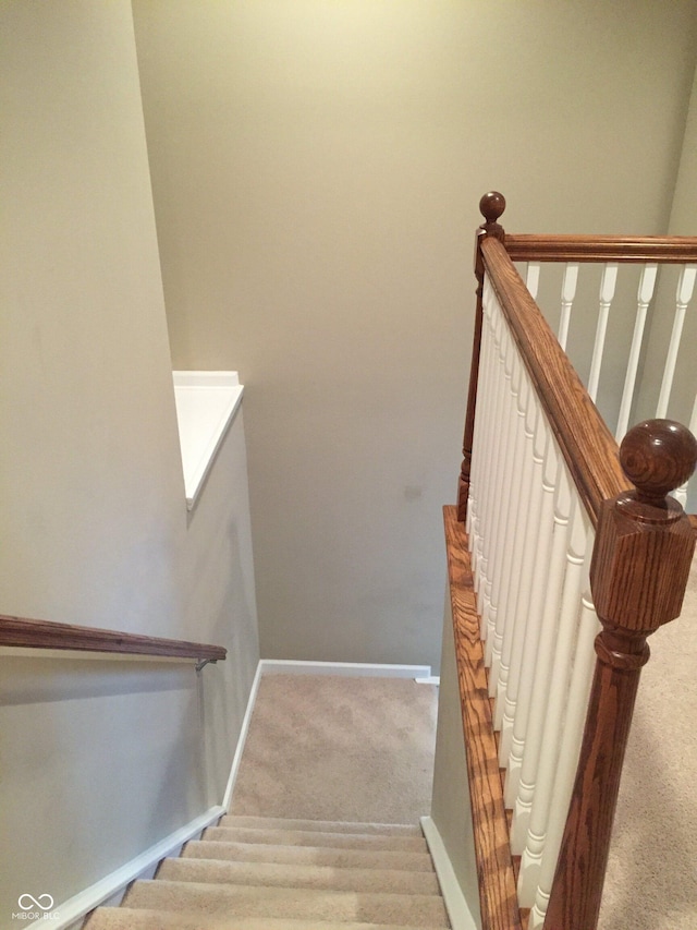 6304 El Paso St, Whitestown, IN 46075 - stairway featuring carpet and baseboards