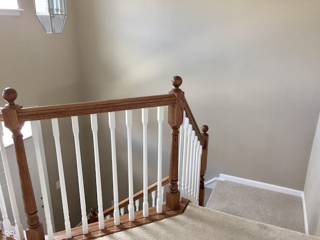 6304 El Paso St, Whitestown, IN 46075 - stairway featuring carpet floors and baseboards