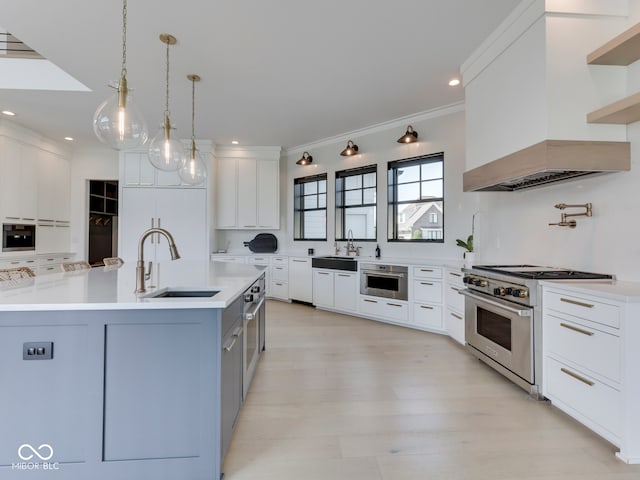 kitchen with a sink, stainless steel appliances, custom exhaust hood, light countertops, and crown molding