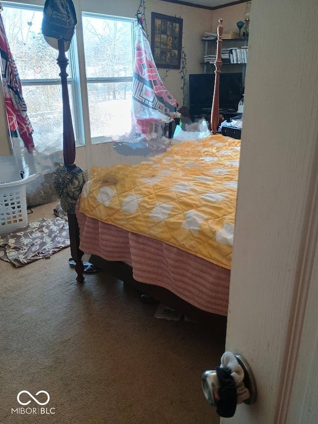 bedroom with carpet
