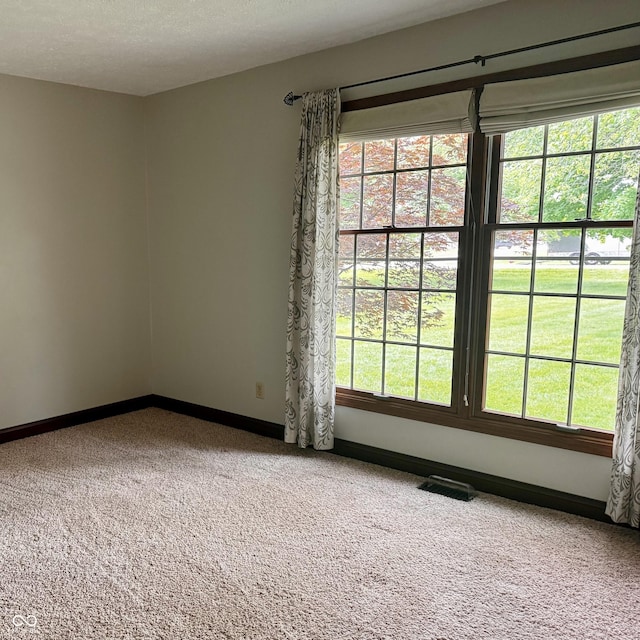 3559 S County Road 475 E, Plainfield, IN 46168 - empty room with carpet, baseboards, and healthy amount of natural light